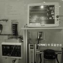 해동물병원 이미지