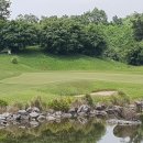 드래곤 골프 이미지