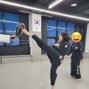 충효태권도호반