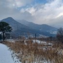 천마산(등산로입구)화장실 이미지