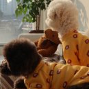 댕스토리 이미지