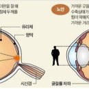 노안한의원 이미지