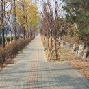 인중로 이미지