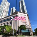 양평유통 Daum카페