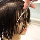 BASIC for R shears(워크샾 진행) 이미지