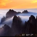 황산흑염소 이미지