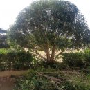 전남과학고등학교 이미지