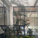 투썸플레이스 화순도곡점 이미지