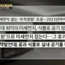 식물병원초록에서