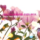 3층 사진관 이미지