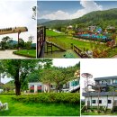 첼로와 거문고 이미지