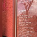 대구낙타커피