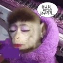 인물 찾아 떠나는 역사여행 | [1박 2일 뚜벅이 공주 여행] 충남투어패스로 떠나는 충남 공주 여행!