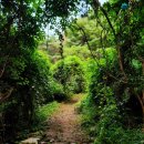 원주굽이길 16코스 매지순환둘레길 이미지