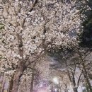 동탄명품주유소 이미지