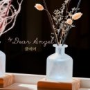 디어엔젤 이미지