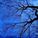 삼봉농원 이미지