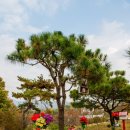 갈월공원 이미지