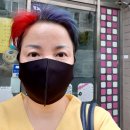 소나무헤어아트 이미지