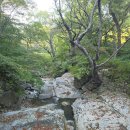 10월11일(일) 충방출석부 이쁜 가을날입니다 이미지