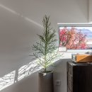 엠엘티 건축사사무소 이미지