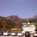화령분소 티스토리