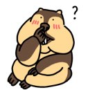 와이제이오 이미지