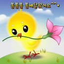 요즘특별히볼일없으신분들ㅡ집에서쉬시면서ㅡ옛날영화감상하세요ㅡ한국영화.외국영화.몆편ㅡ 이미지