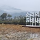 치킨마당 - 중구 다산로28길 2-1 | 치킨마당