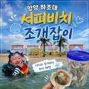 세븐일레븐 하조대서피비치점 | 양양 하조대 서피비치 아이와 함께 조개잡이! 조개에 빠진 채태남매