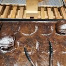 레이지모닝 이미지