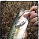 빨간스푼 이미지