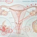 명안빌딩