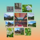 양재김경호한의원 이미지