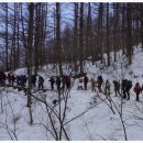 하얀천국 이미지