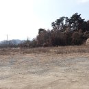 성주공인중개사사무소 티스토리