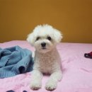 우진황토펜션 네이버블로그