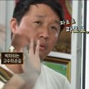 어루다 이미지