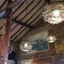 숲속의 섬 이미지