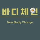 뉴바디체인지