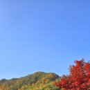 일운스님의 마음의편지 이미지