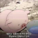 신대포 이미지