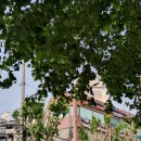 조환석내과의원 이미지