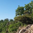 2021-주165 이미지