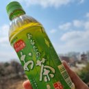 류*영 - 안양시 동안구 경수대로898번길 | 산가리아 당신의 녹차 | 일본에서 반했던 녹차 올리브영추천음료 후기