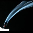 ▶謹弔◀[추천드리는 글] &#34; 노무현 탄핵의 진짜 이유&#34; 이미지