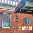 초향 | 평택 점집 다녀온 후기 초향보살