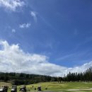 파라다이스 골프레인지 이미지