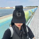 쉼 게스트하우스 | __⭐제주도 뚜벅이 여행러에게 추천하는 조용한 한림읍 감성 게스트하우스 [쉼 게스트하우스]⭐__