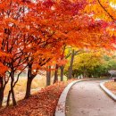 아가페고시원